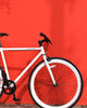 Fixie Pisco